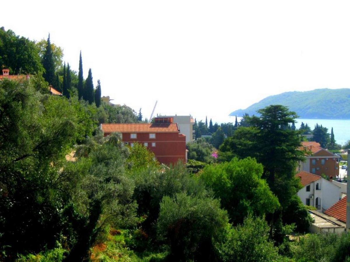 Villa Seka Budva Buitenkant foto